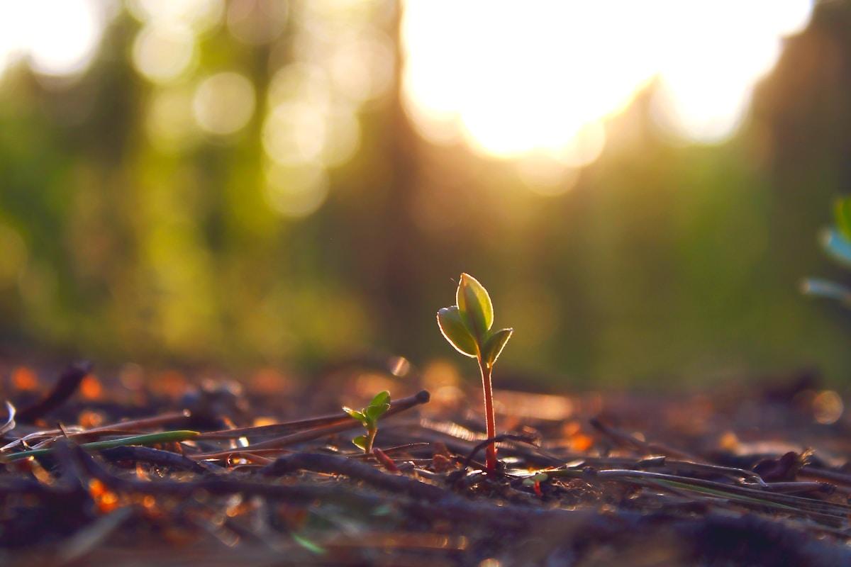 ETFs vs Mutual Funds: Which One Actually Builds More Wealth in 2026?